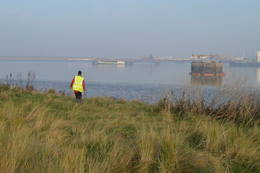 Lily German Crossness